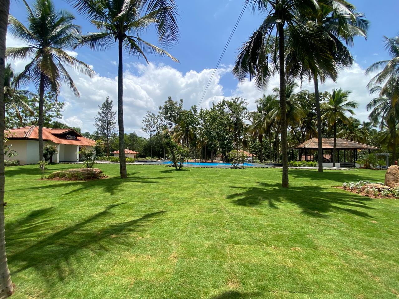 WhatsApp Image 2024-08-11 at 9.36.26 AM (1)