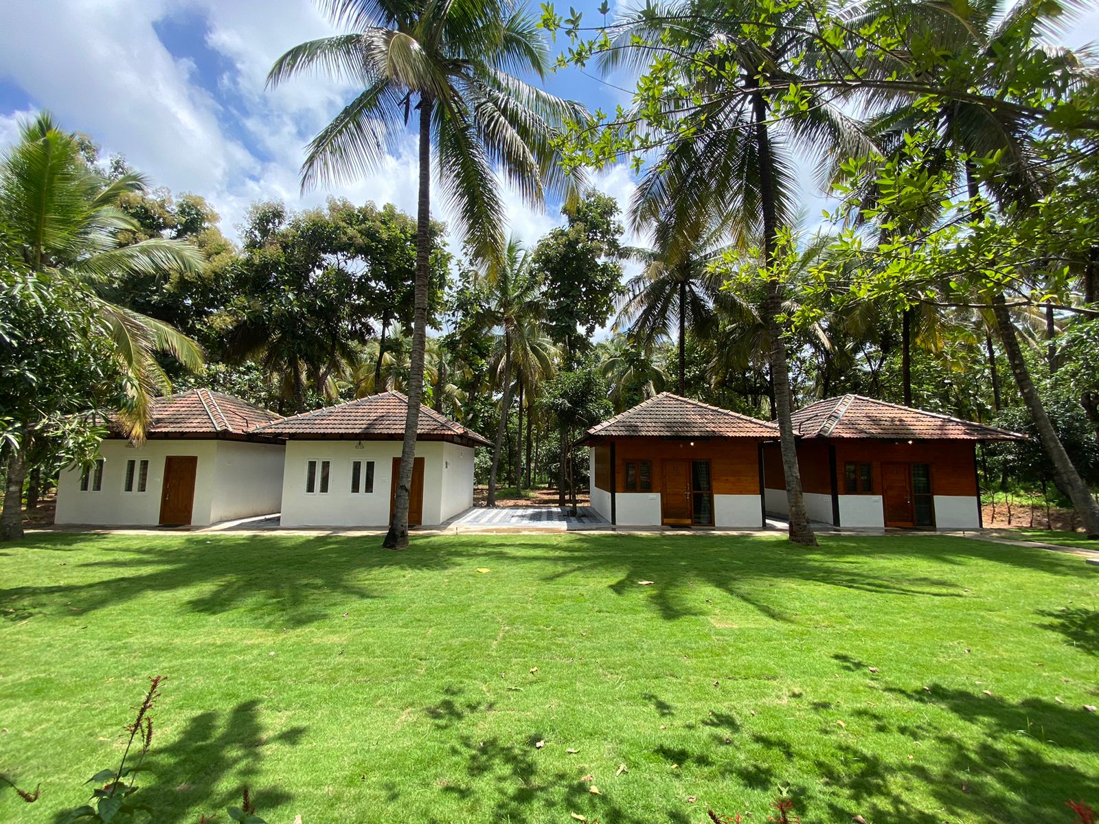 WhatsApp Image 2024-08-11 at 9.37.42 AM